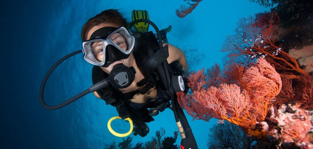 Maldives snorkeling and scuba diving trips