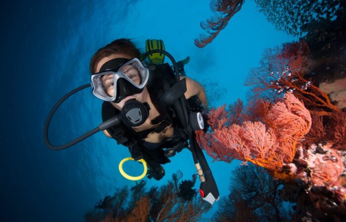 Maldives snorkeling and scuba diving trips