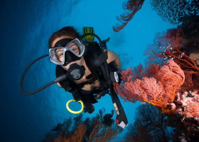 Maldives snorkeling and scuba diving trips